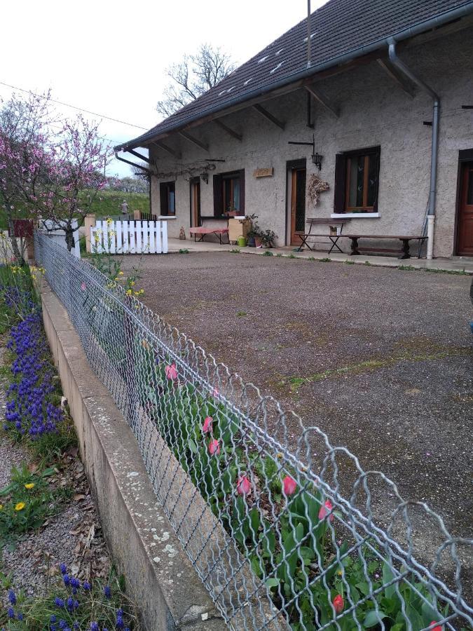 Chez Domi Syl Gite Nature Apartment Colonne Luaran gambar